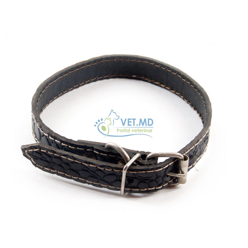 Ошейник 2см x 45см кожа